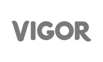 vigor logo